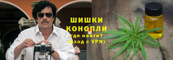 трава Ессентукская