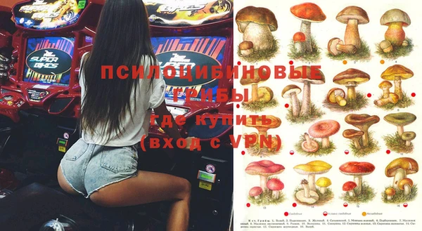 дживик Фёдоровский