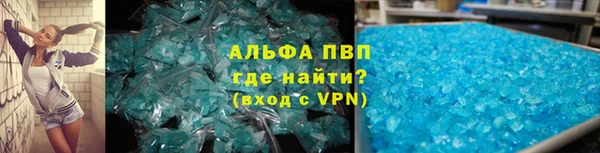 трава Ессентукская