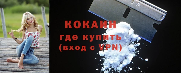 дживик Фёдоровский