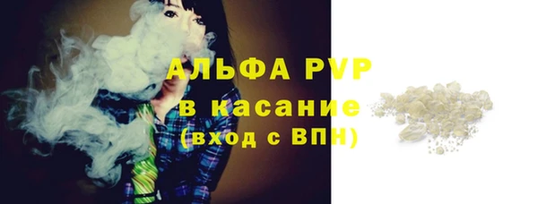 трава Ессентукская