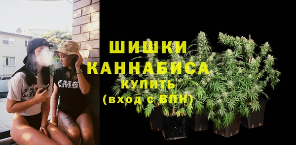 мдпв Санкт-Петербург
