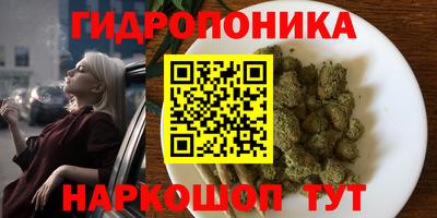 сатива Гатчина