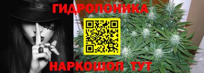 сатива Гатчина
