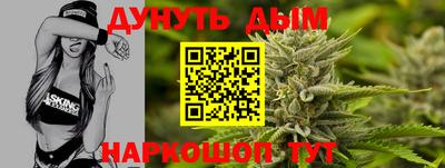 сатива Гатчина