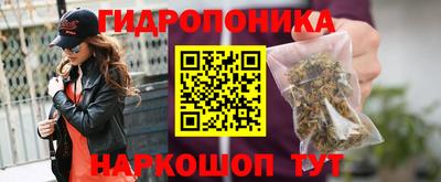 винт Гагарин