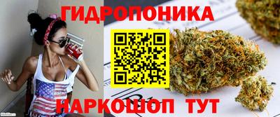 сатива Гатчина